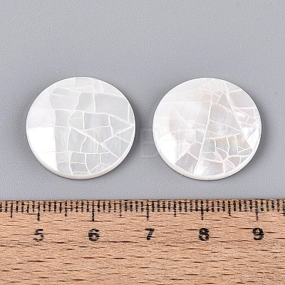 Natural White Shell Cabochons BSHE-T014-49-1