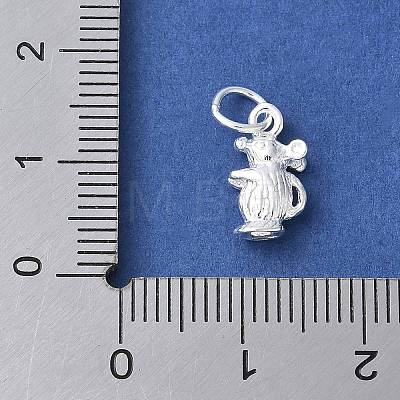 925 Sterling Silver 3D Chinese Zodiac Charms STER-P066-01S-01-1