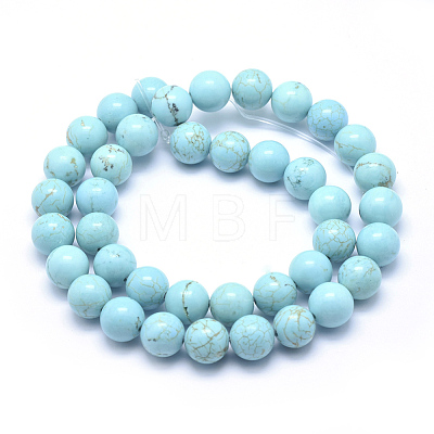 Natural Magnesite Beads Strands TURQ-G148-07-10mm-1