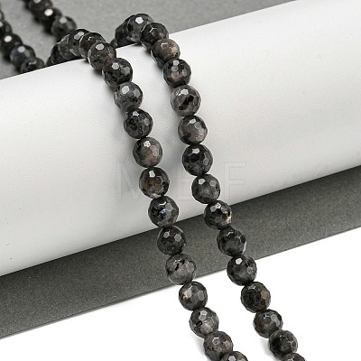 Natural Larvikite Beads Strands G-E571-A09-01-1