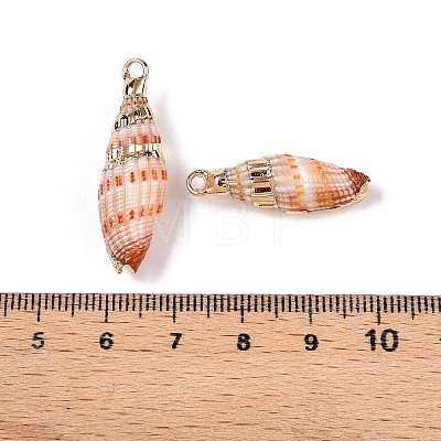 Natural Sea Shell Pendants SSHEL-N038-35-1