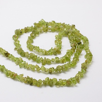 Grade A Natural Peridot Chip Bead Strands G-M298-05-1