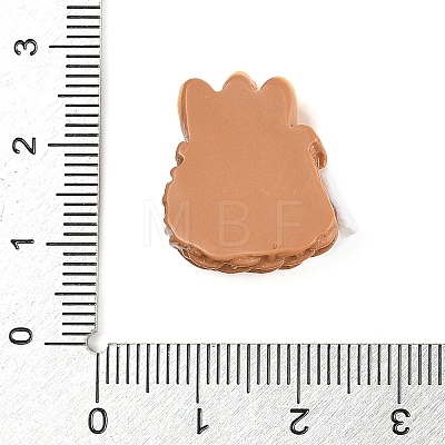 Opaque Resin Cabochons CRES-Z013-01A-1