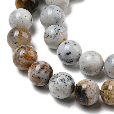 Natural Dendritic Opal Beads Strands G-R494-A16-03-1