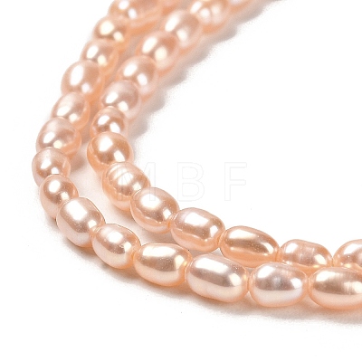Natural Cultured Freshwater Pearl Beads Strands PEAR-E016-141-1