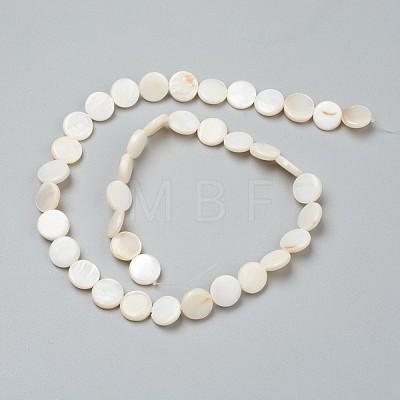 Natural Freshwater Shell Beads X-BSHE-I011-01D-02-1