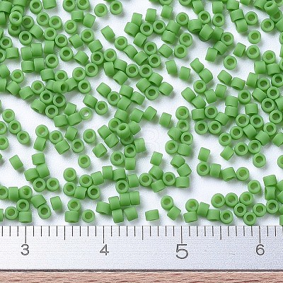 MIYUKI Delica Beads SEED-X0054-DB0754-1