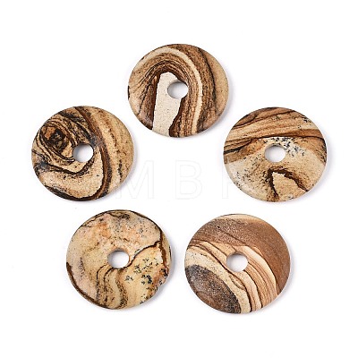 Natural Picture Jasper Big Pendants G-T144-43A-1