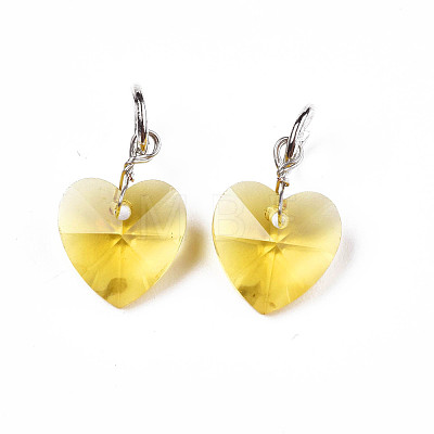 Faceted Transparent Glass Charms GLAA-T024-04K-1