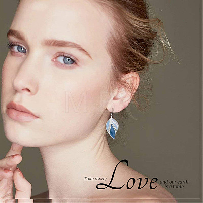 Alloy Enamel Dangle Earrings FS-WGF9F91-01-1