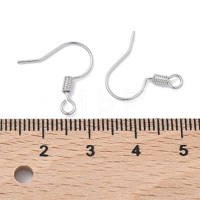 SHEGRACE Brass Earring Hooks XGR0140P-153P-1