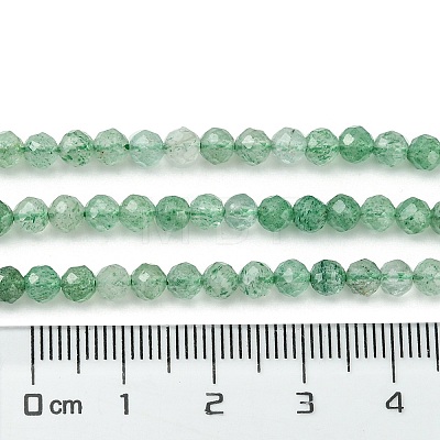 Natural Green Strawberry Quartz Beads Strands X-G-Z034-A02-03-1