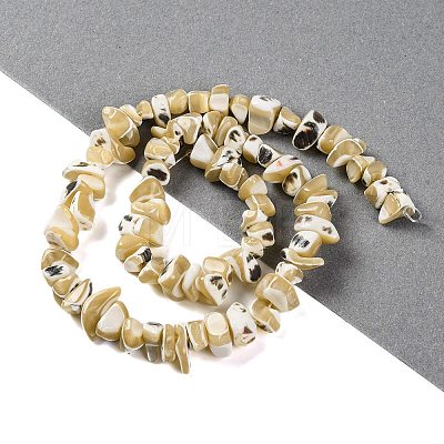 Natural Trochus Shell Beads Strands BSHE-S304-04-1