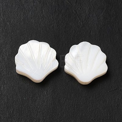 Natural Freshwater Shell Beads LS-BSHE-E026-06-1