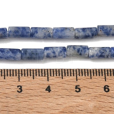 Natural Blue Spot Jasper Beads Strands GG-B091-A25-01-1