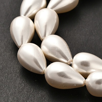 Electroplate Shell Pearl Beads Strands BSHE-G010-10x16mm-01-1