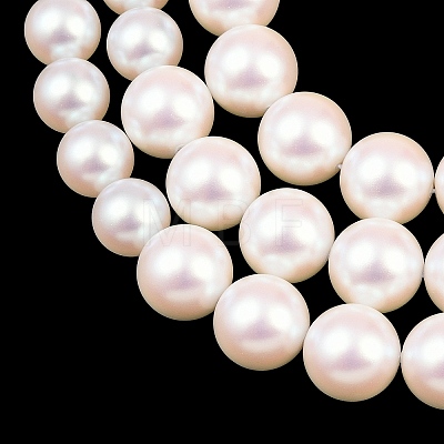 Electroplated Glass Pearl Graduated Beads Strands BSHE-C011-03A-1