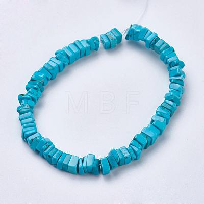 Natural Magnesite Beads Strands TURQ-K003-09C-1