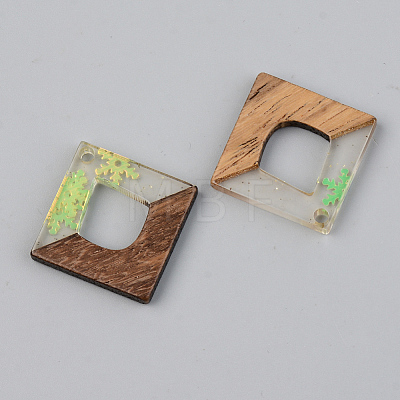 Transparent Resin & Walnut Wood Pendants RESI-S389-024A-D01-1
