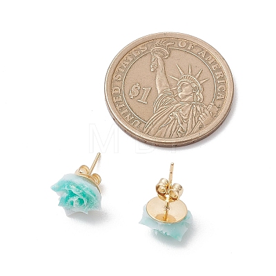Plastic Stud Earrings EJEW-JE06899-1