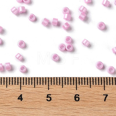 Baking Paint Glass Seed Beads X-SEED-S042-15A-04-1