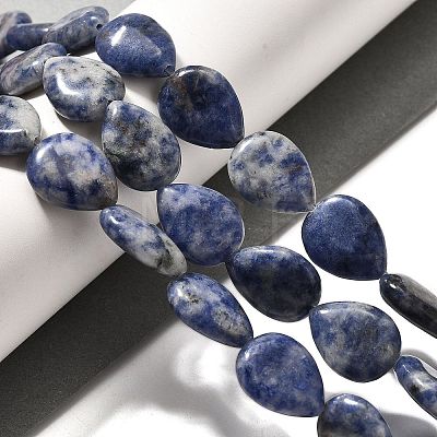 Natural Blue Spot Jasper Beads Strands G-P561-B06-01-1