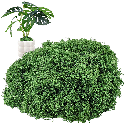 Polyester Artificial Moss DIY-CN0003-92C-1