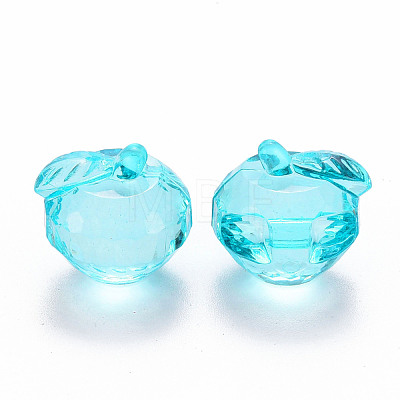 Transparent Acrylic Pendants TACR-T024-05B-946-1
