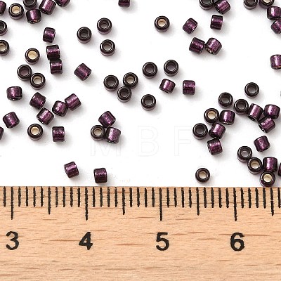 Glass Seed Beads SEED-S042-04B-30-1