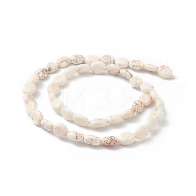 Natural Howlite Beads Strands G-P494-B02-1