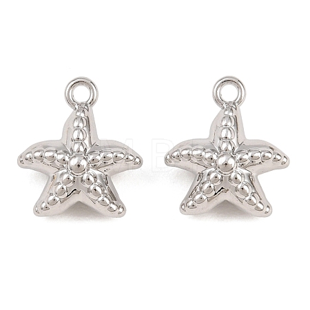 Alloy Charms AL-CBA83D5-10P-1