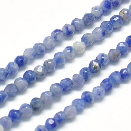 Natural Sodalite Beads Strands G-J002-09-1