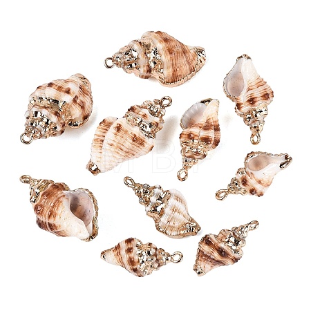 Electroplate Natural Spiral Shell Pendants SSHEL-Q100-39G-1