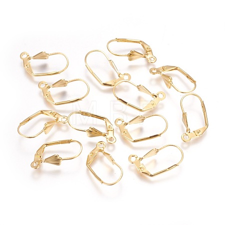 304 Stainless Steel Leverback Earrings Findings STAS-P227-45G-1