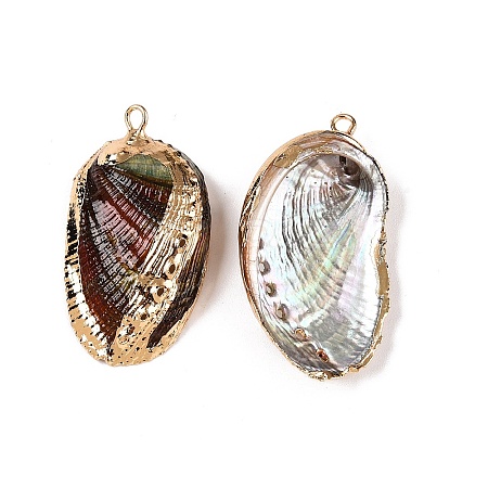 Natural Paua Shell Pendants SSHEL-N038-18A-1