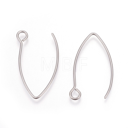 Tarnish Resistant 304 Stainless Steel Earring Hooks X-STAS-L216-03A-P-1