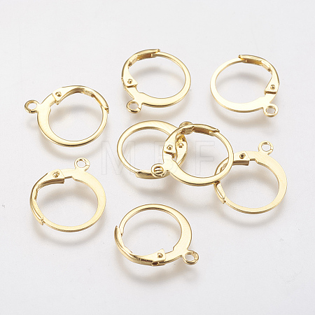 304 Stainless Steel Leverback Earring Findings STAS-F141-02G-1