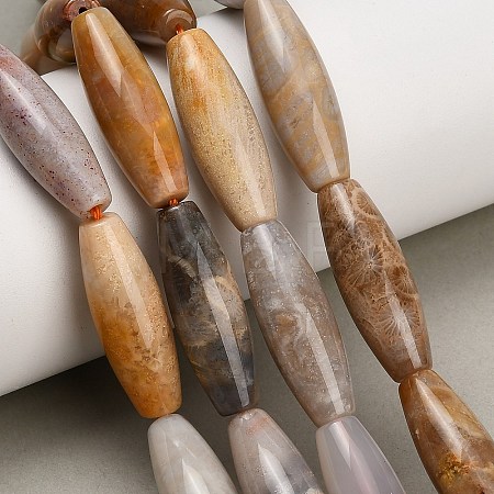 Natural Fossil Coral Beads Strands GG-CBA362F-03-1