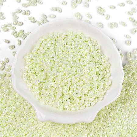 Opaque Colours Luster Glass Seed Beads SEED-T006-02J-1