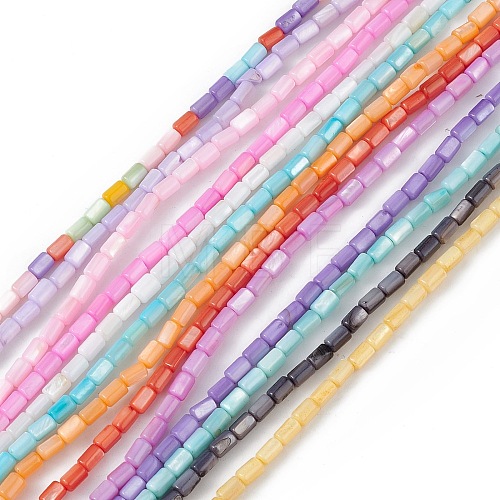 Natural Freshwater Shell Dyed Beads Strands SHEL-M018-12-1