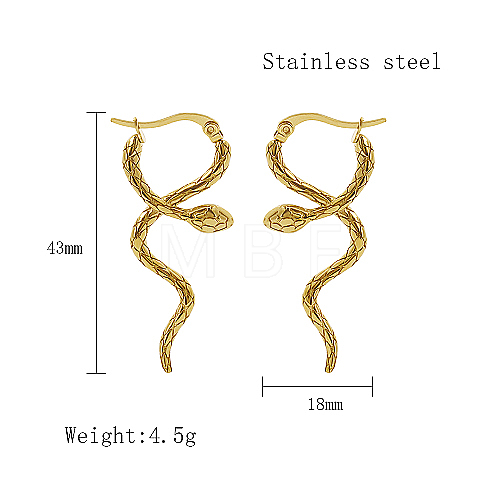 Stainless Steel Hoop Earrings for Women QX9021-17-1