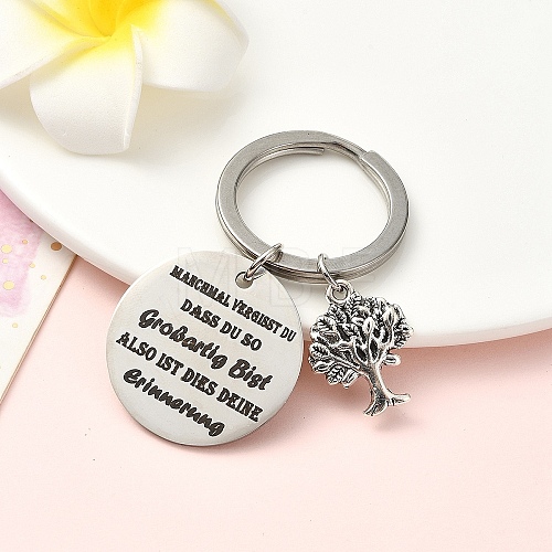 Alloy & 201 Stainless Steel Keychain KEYC-YW00091-06-1