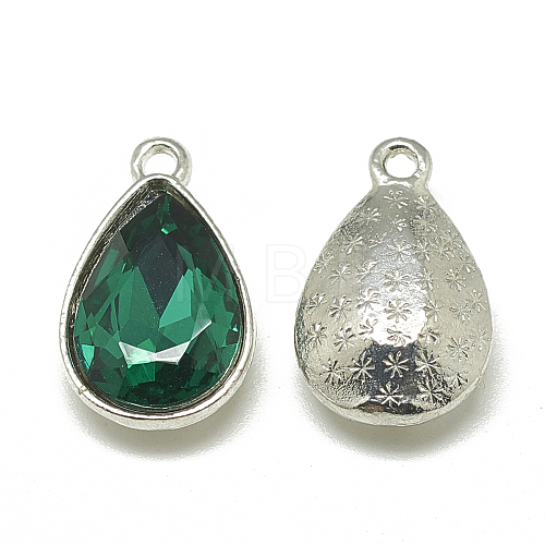 Alloy Glass Pendants PALLOY-T028-10x14mm-15-1