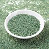 MIYUKI Round Rocailles Beads SEED-G007-RR0374-2