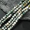 Natural Tree Agate Beads Strands G-K194-6mm-02-1