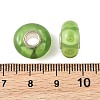 Lampwork & Brass Core European Beads LAMP-P019-01P-20-3