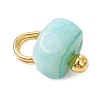 Dyed Natural Freshwater Shell Nuggets Charms PALLOY-JF05032-01-4