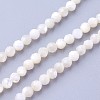 Shell Beads Strands LS-G-F619-27-3mm-1