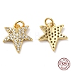 925 Sterling Silver Micro Pave Cubic Zirconia Charms STER-I010-36G-3