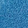 MIYUKI Round Rocailles Beads SEED-JP0009-RR0573-3